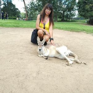 Meet your Posher, Aurora